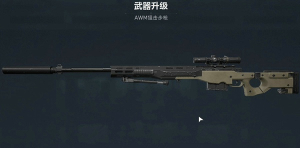 AWM改装